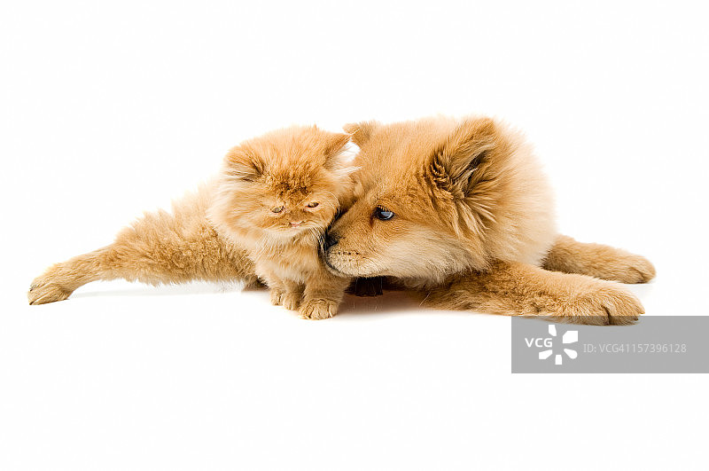 两个朋友图片素材