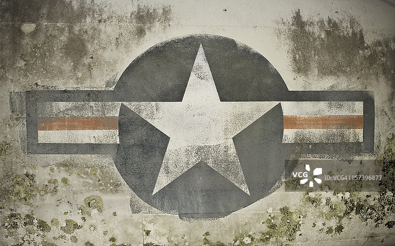 长满苔藓的空军标志图片素材