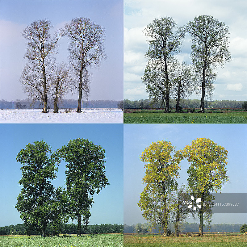 四季（超大尺寸图片）图片素材