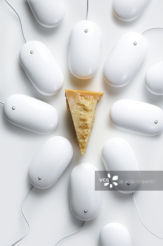 老鼠和奶酪图片素材