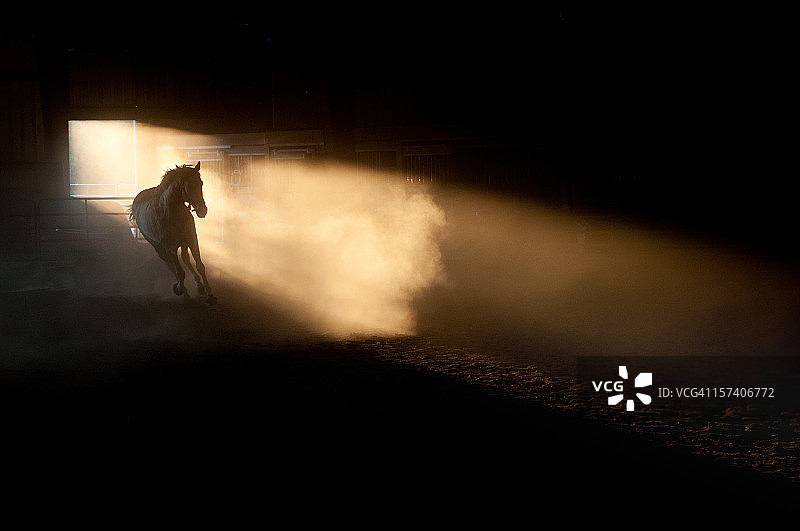 扬起尘土图片素材