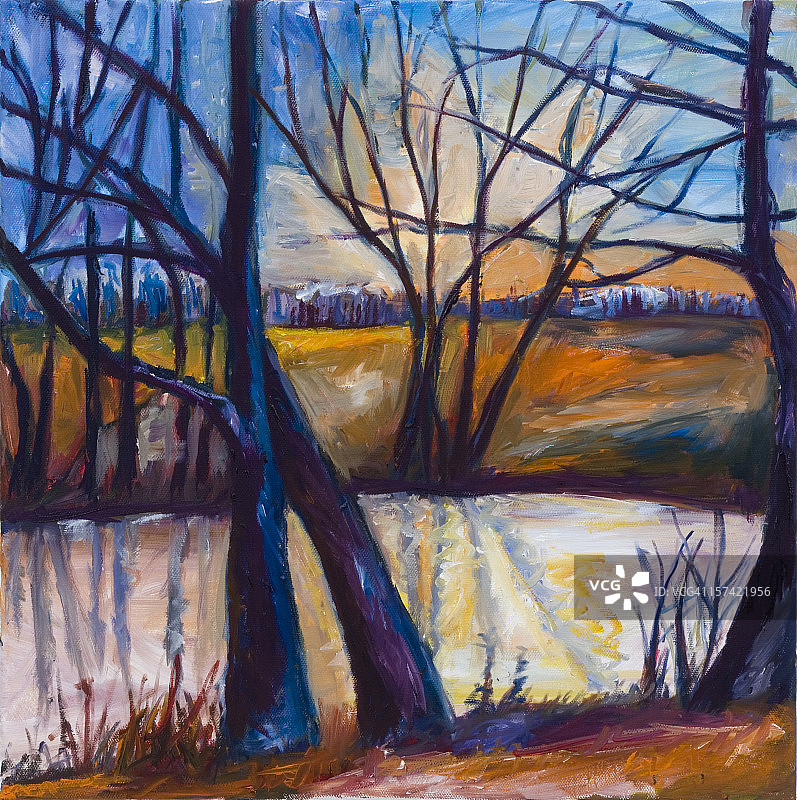 冬季森林图片素材