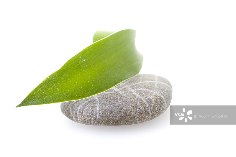 竹叶石图片素材