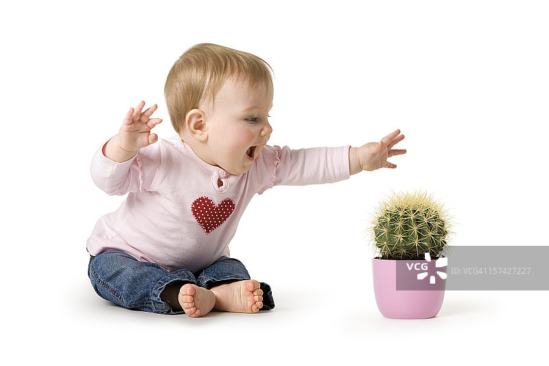 婴儿的危险瞬间：儿童玩仙人掌受伤，正在接受急救图片素材