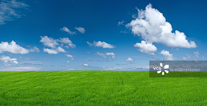 广阔的春季景观：草地和蓝天图片素材