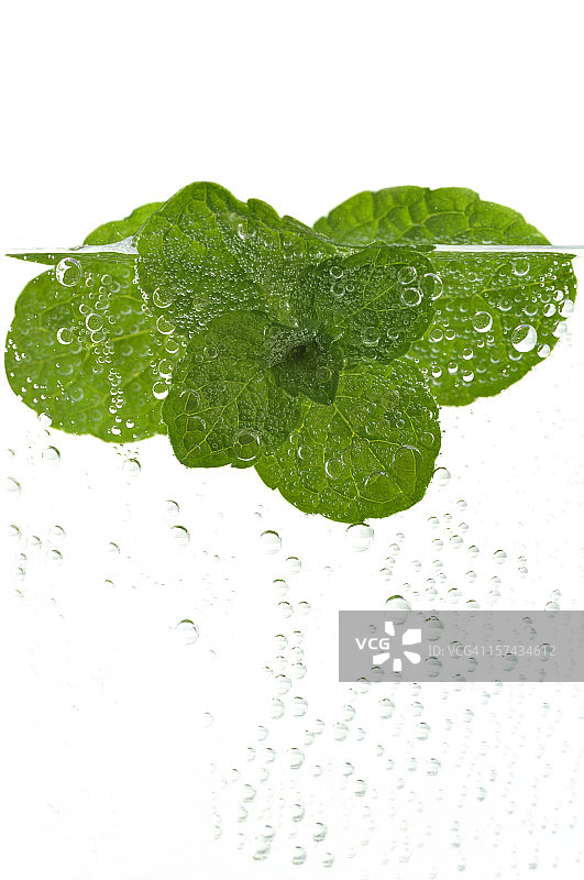 水中新鲜薄荷图片素材
