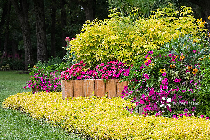 带高架花坛的景观花园图片素材