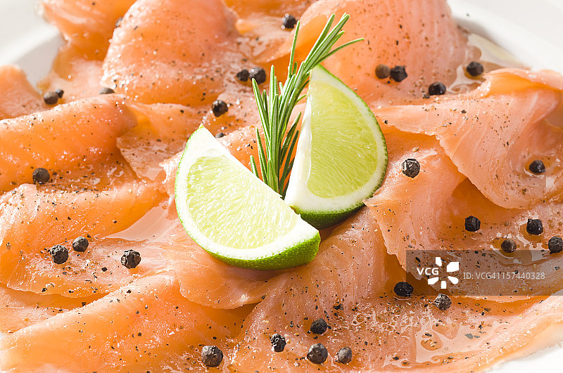 大马哈鱼图片素材