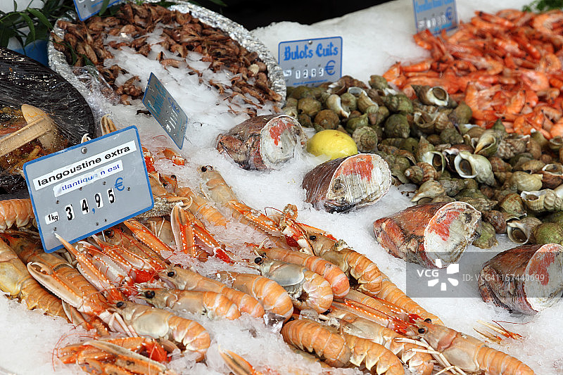 市场上展示的新鲜海鲜图片素材