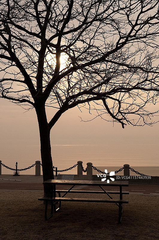 清晨的海滨公园图片素材