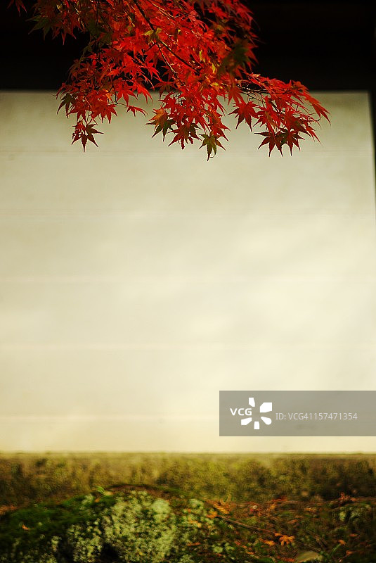 红底白图图片素材