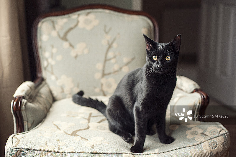 蓝色椅子图片素材