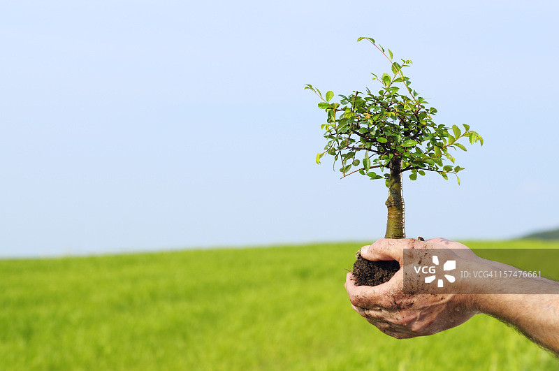 手中的新生活图片素材