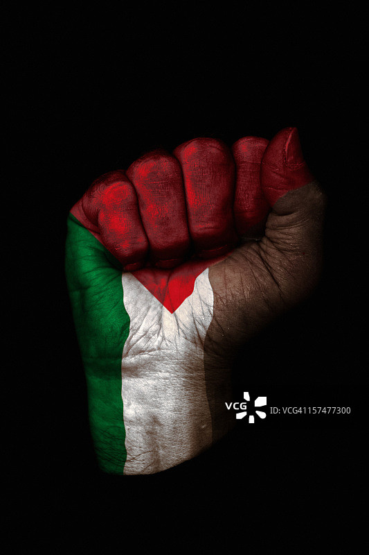 巴勒斯坦旗帜拳头图片素材