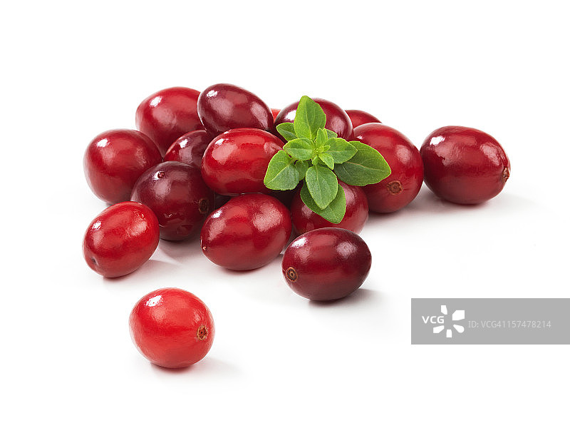 带叶子的蔓越莓图片素材