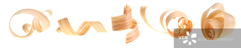 白色背景上的五个卷曲木屑图片素材