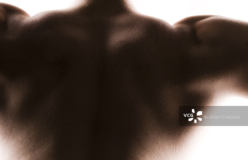 健壮的男性背部图片素材