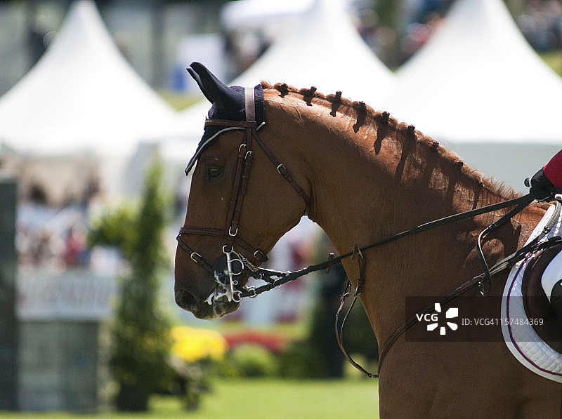 场地障碍赛开始前图片素材