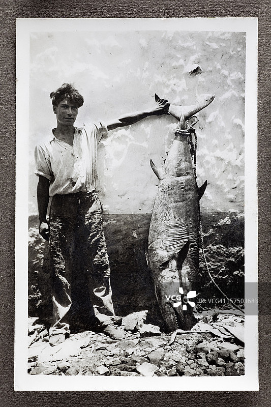 渔夫和蓝鳍金枪鱼图片素材