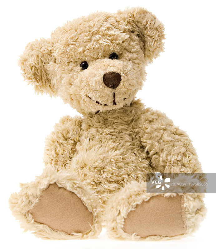 泰迪熊图片素材