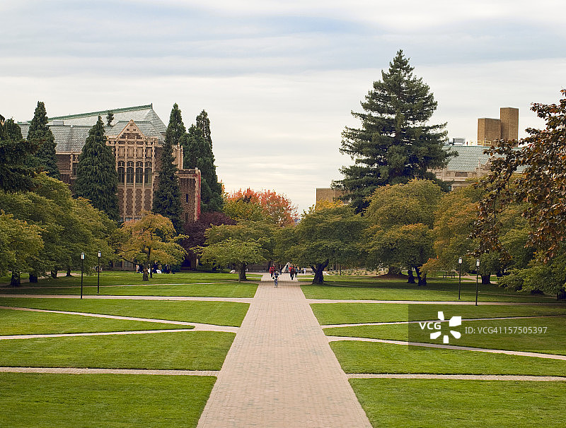华盛顿大学四方草坪图片素材