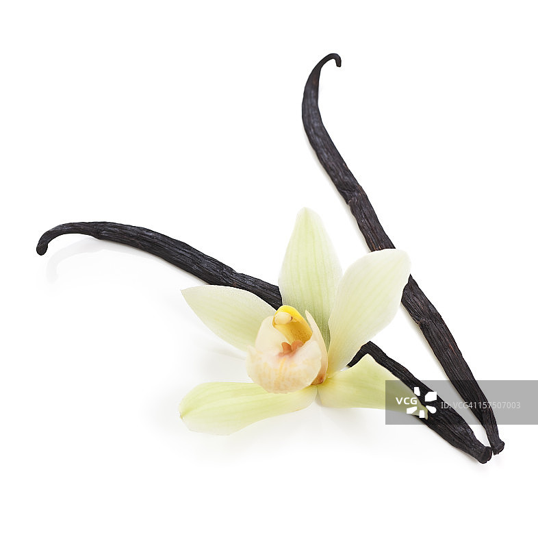 香草豆和兰花图片素材