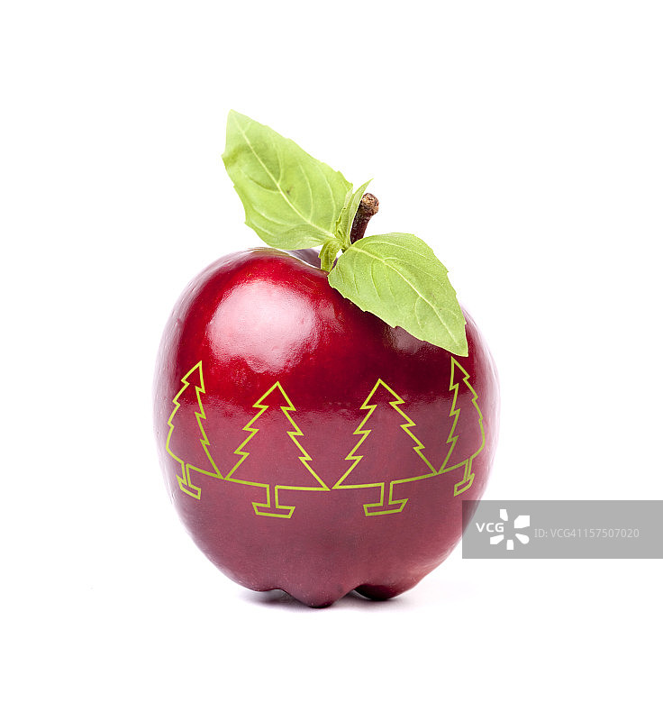 圣诞装饰图片素材