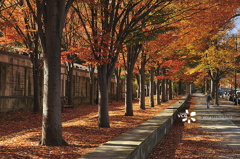 人行道上图片素材