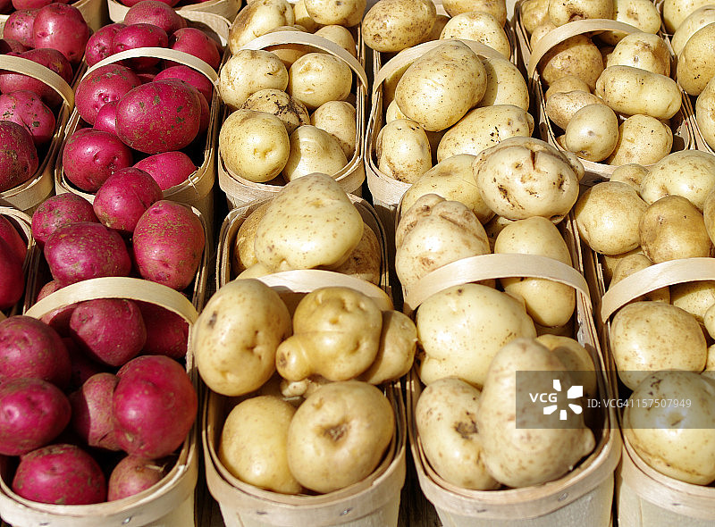 新鲜土豆图片素材