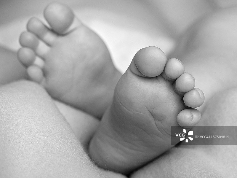 婴儿的脚-单色（特大尺寸）图片素材