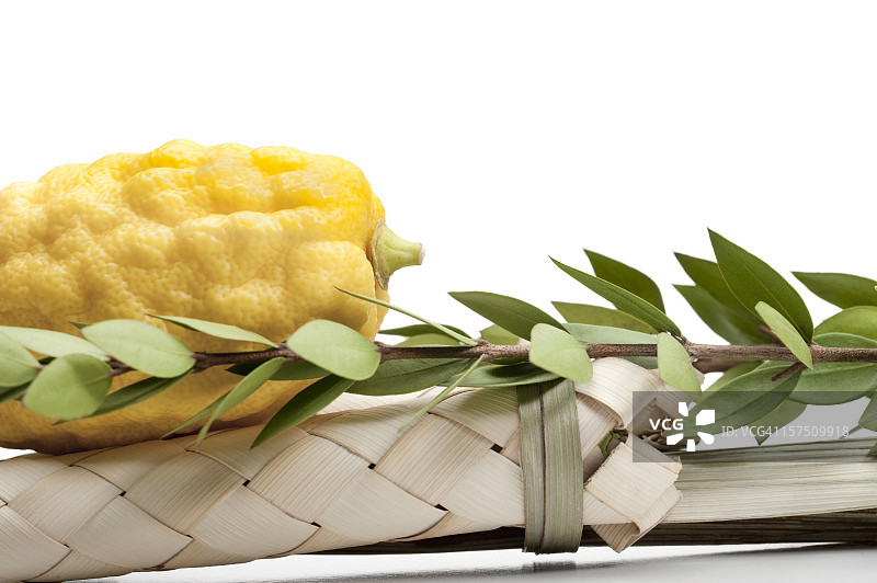 犹太住棚节的物种图片素材