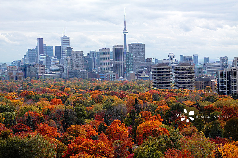 多伦多的秋天图片素材