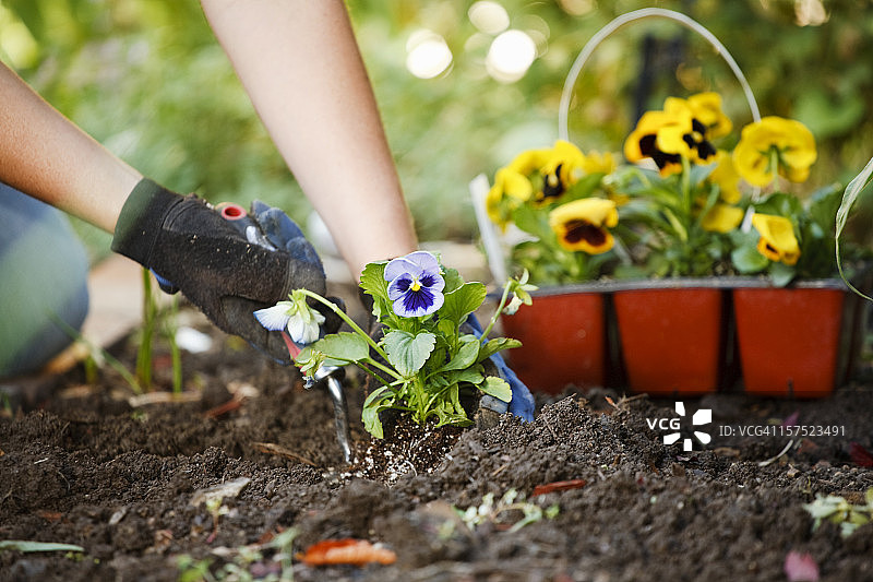 园艺之手图片素材