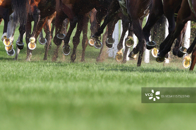 奔跑的马图片素材
