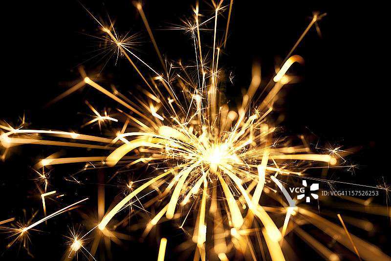 炯炯有神的眼睛图片素材