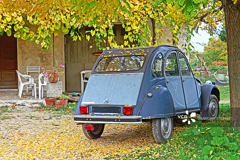 树下的典型法国汽车图片素材