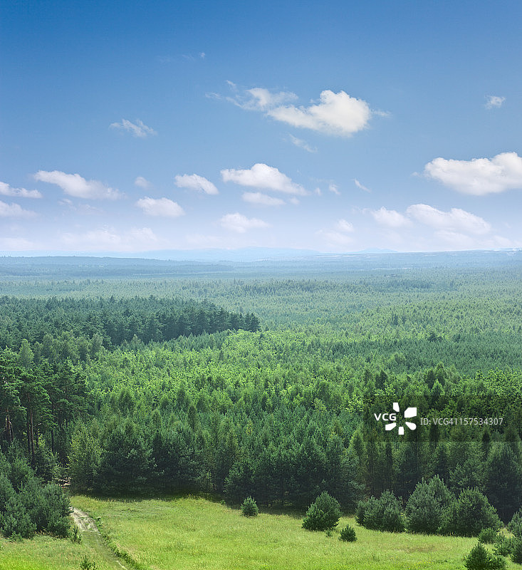 波兰克拉科夫布莱多夫斯卡沙漠中被树木覆盖的部分图片素材