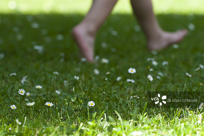 草地上的婴儿足部图片素材