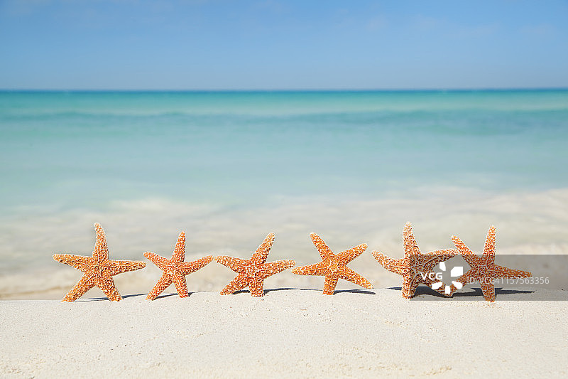 夏季海滩度假，沙滩上的贝壳和海星派对图片素材