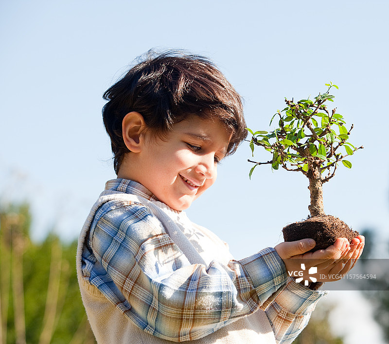 男孩抱着树图片素材