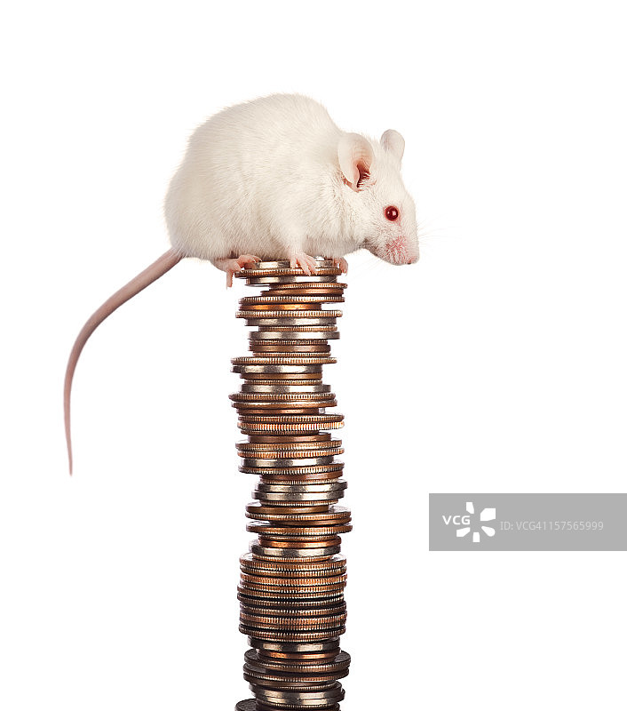 节俭的小白鼠存了一大笔钱图片素材