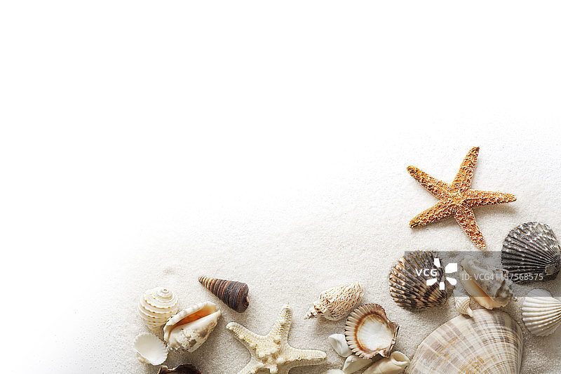 白色背景海滩沙子海星贝壳边框图片素材