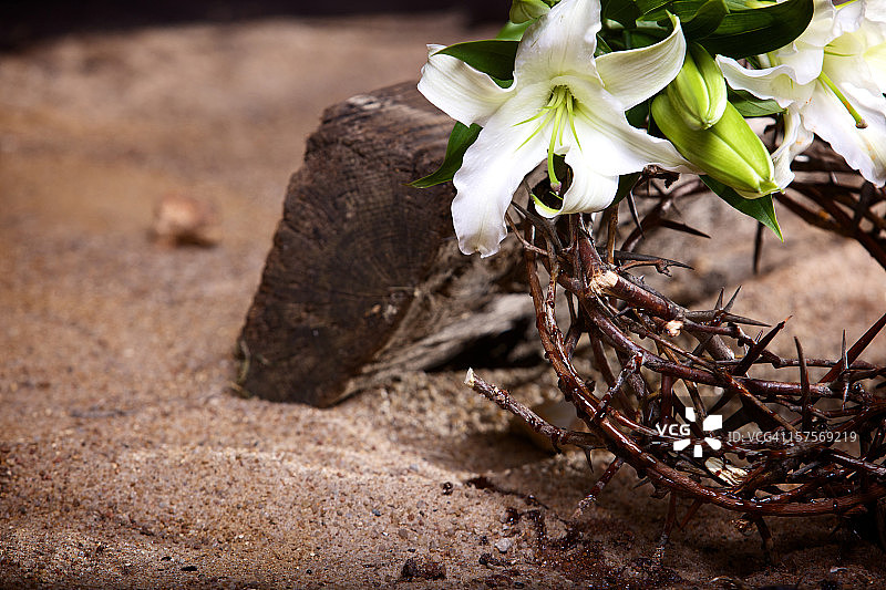 复活节西番莲图片素材