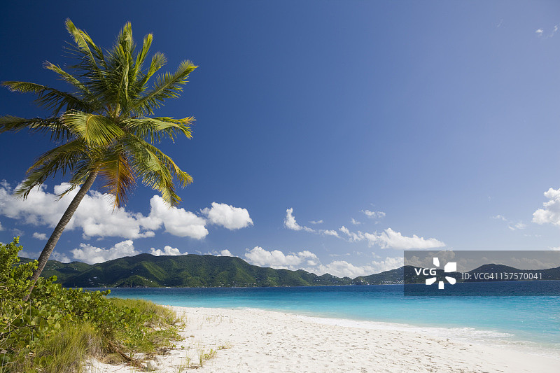 加勒比热带岛屿上的白色沙滩图片素材
