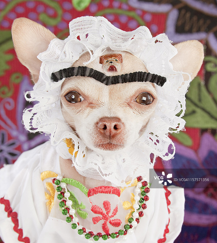 我脑海中的迭戈图片素材