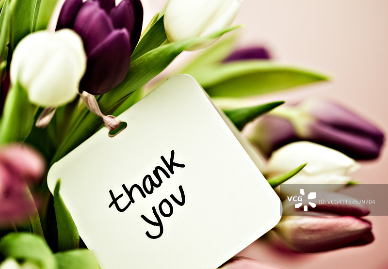 郁金香与感谢卡图片素材