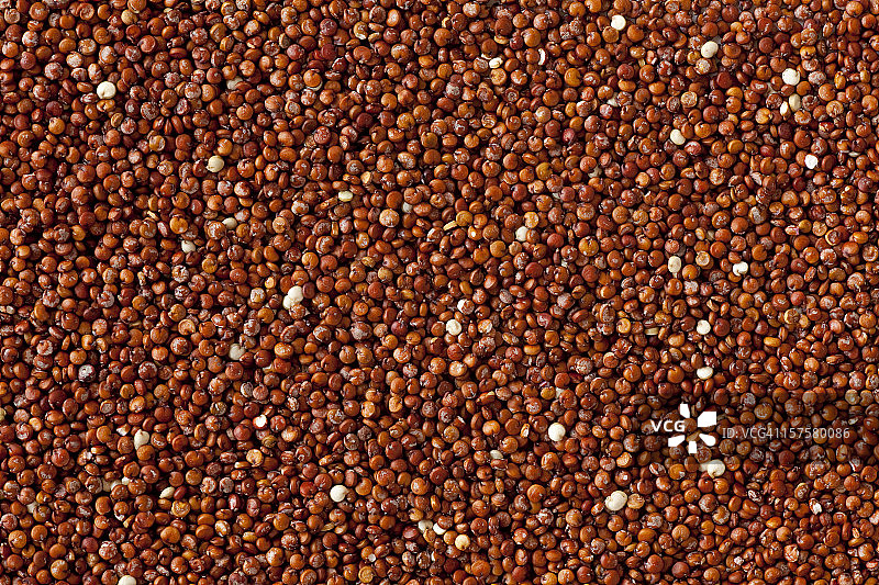 红藜麦图片素材