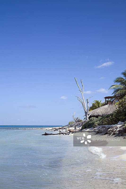 墨西哥海岸线图片素材