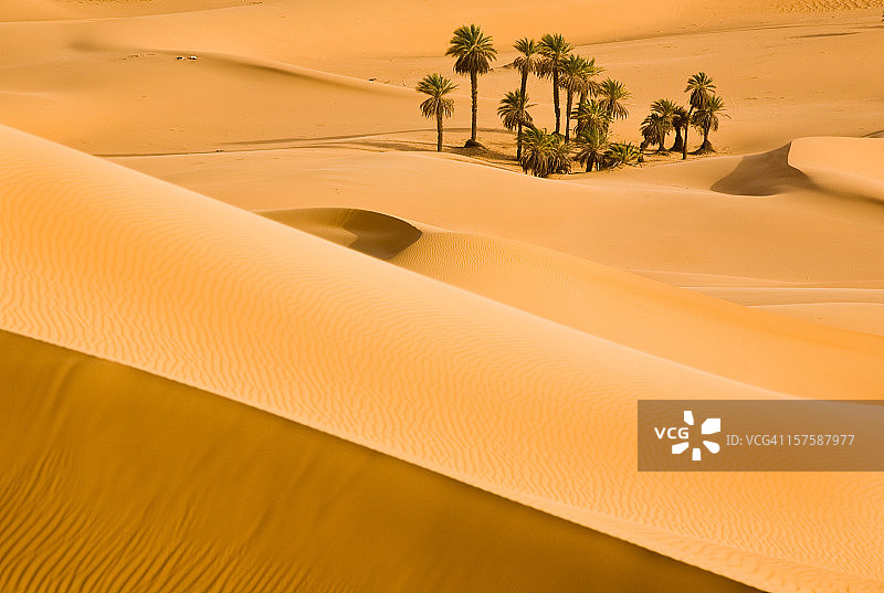 撒哈拉沙漠光影沙丘图片素材