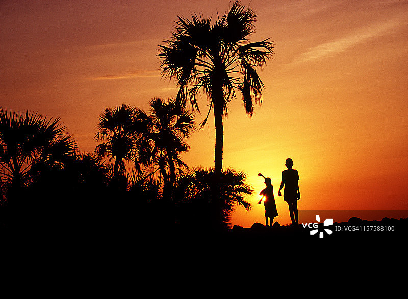 夕阳下棕榈树和两个非洲男孩的轮廓图片素材